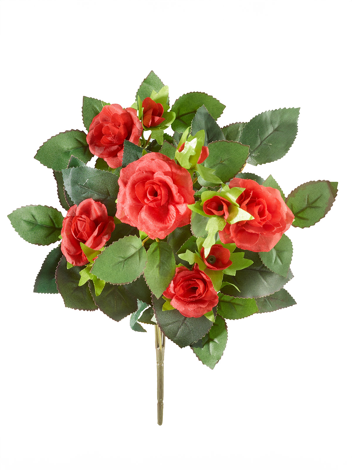 Rosenbusch-Pick, rot Rosenbusch-Pick, rot