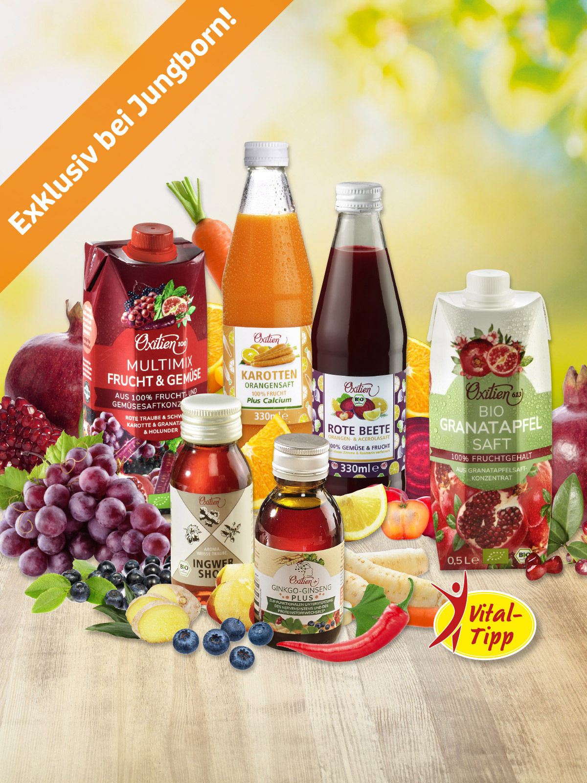Power-Probierpaket „6 in 1“