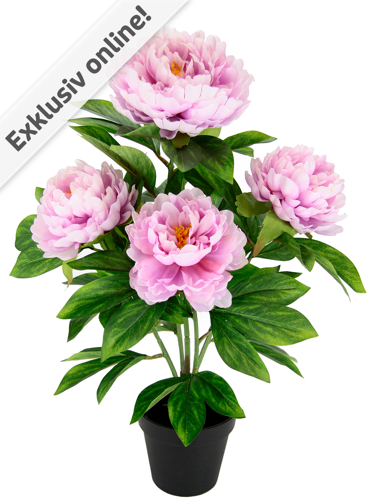 Pfingstrosen-Busch, 58 cm, rosa Pfingstrosen-Busch, 58 cm, rosa