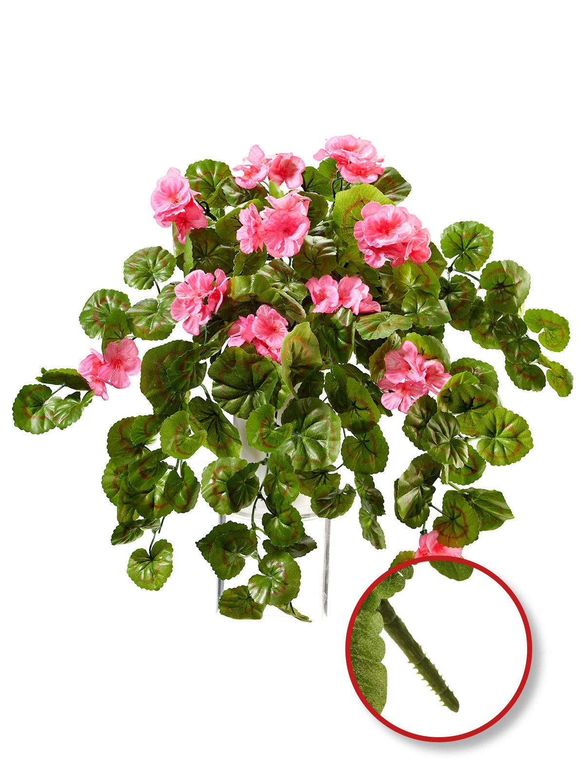 Geranien-Hänger „Rubina“, rosa Geranien-Hänger „Rubina“, rosa