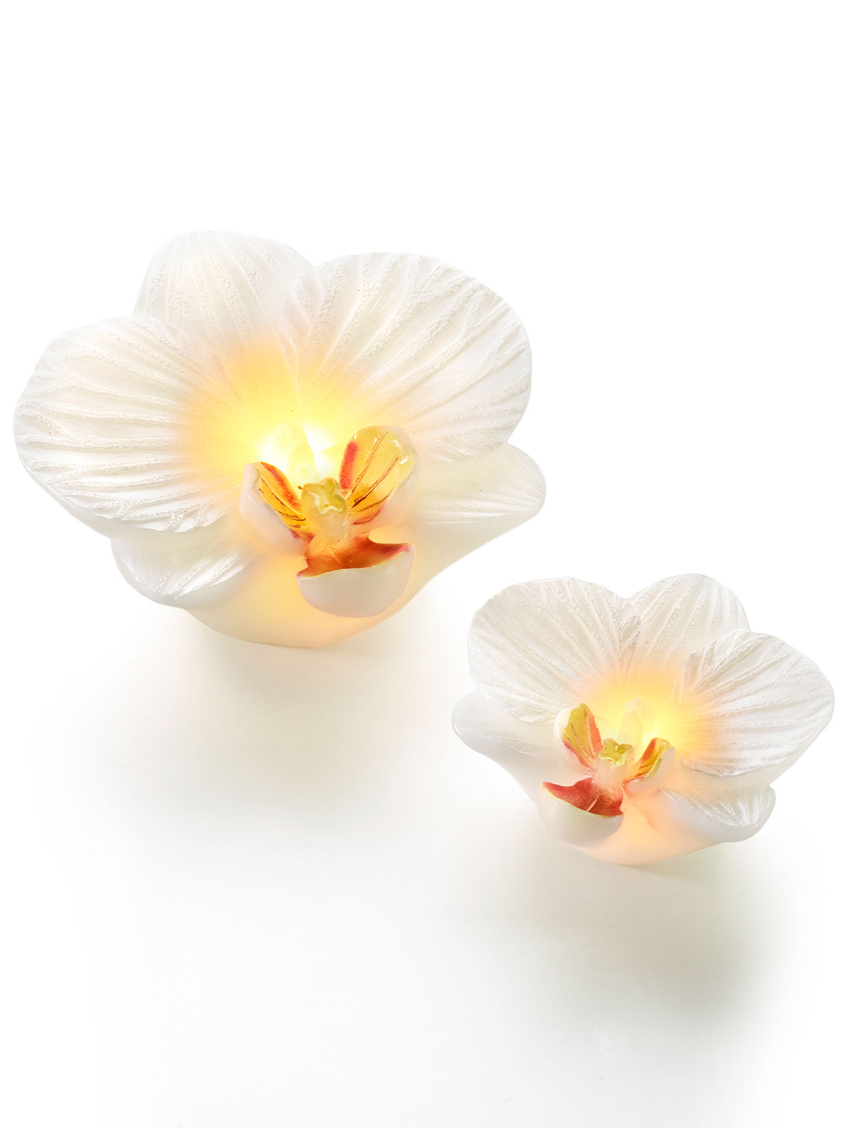 LED Echtwachskerzen „Orchidee“