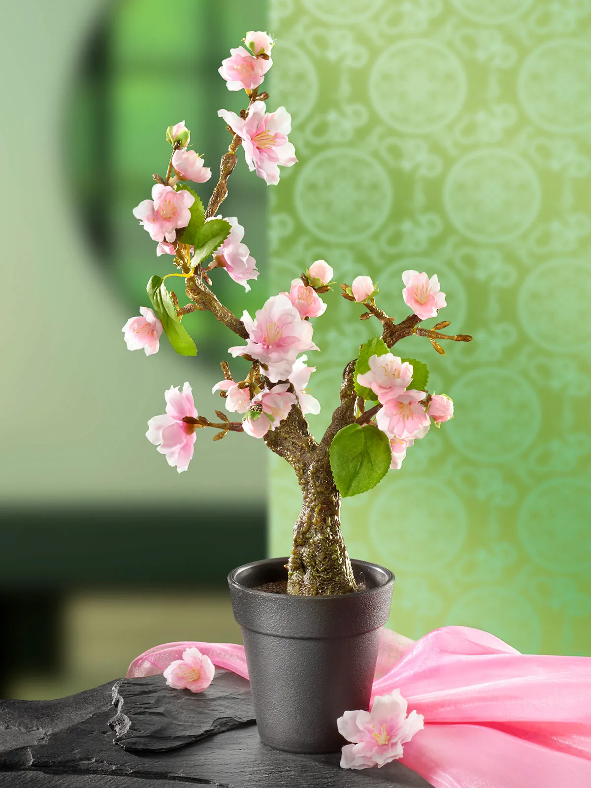 Kirschblten-Bonsai | 100879