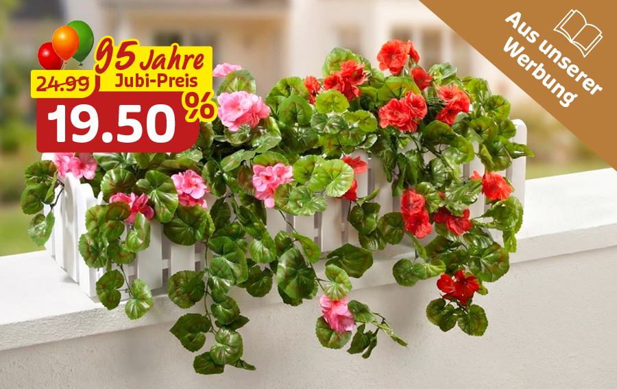 Blumenkasten mit Geranien als sommerliche Balkondekoration