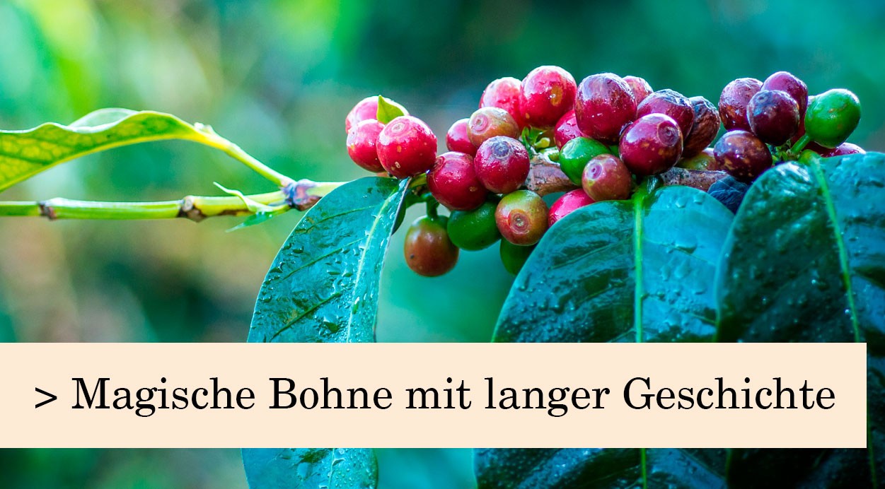 Kaffeekunde