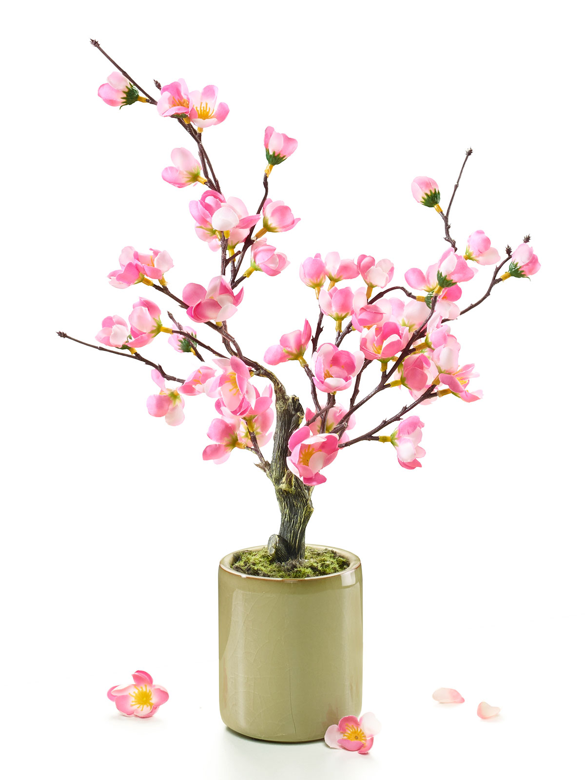 Kirschbonsai-Arrangement