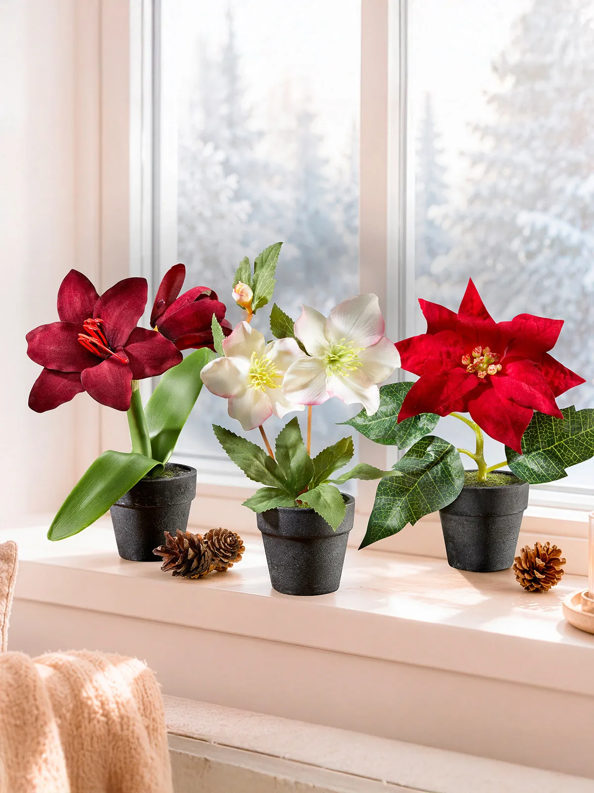 Weihnachtsblumen-Trio