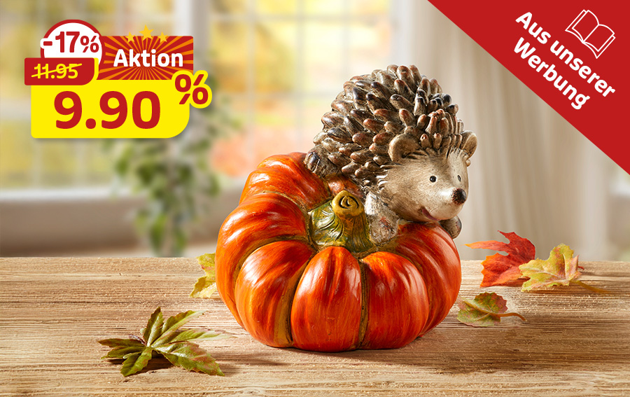 Herbstdeko mit Igel auf Kürbis zum Aktionspreis von 9,90 Euro