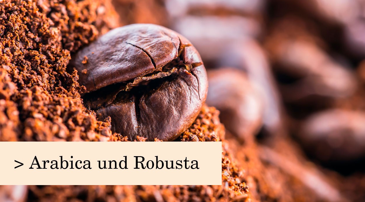 Arabica und Robusta