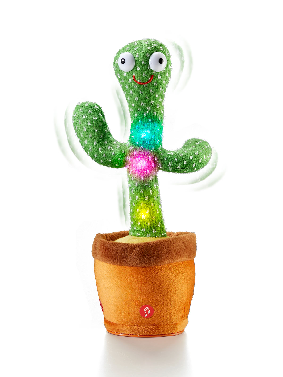 „Kalle“ der Kaktus 