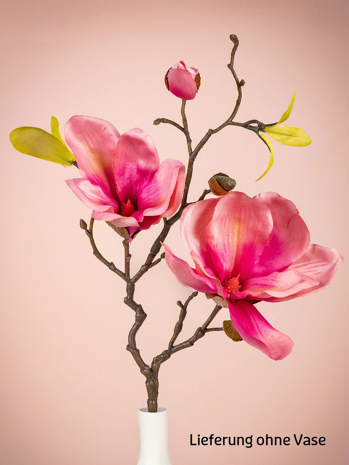 Magnolienzweig
