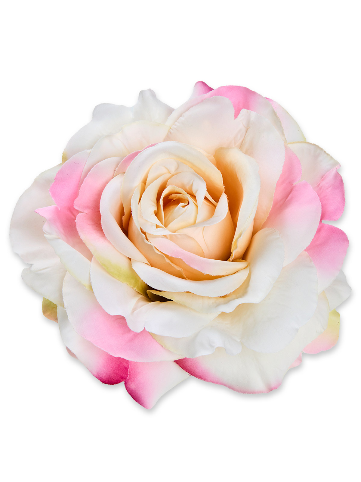 Rosenblüte mit Clip, pfirsich