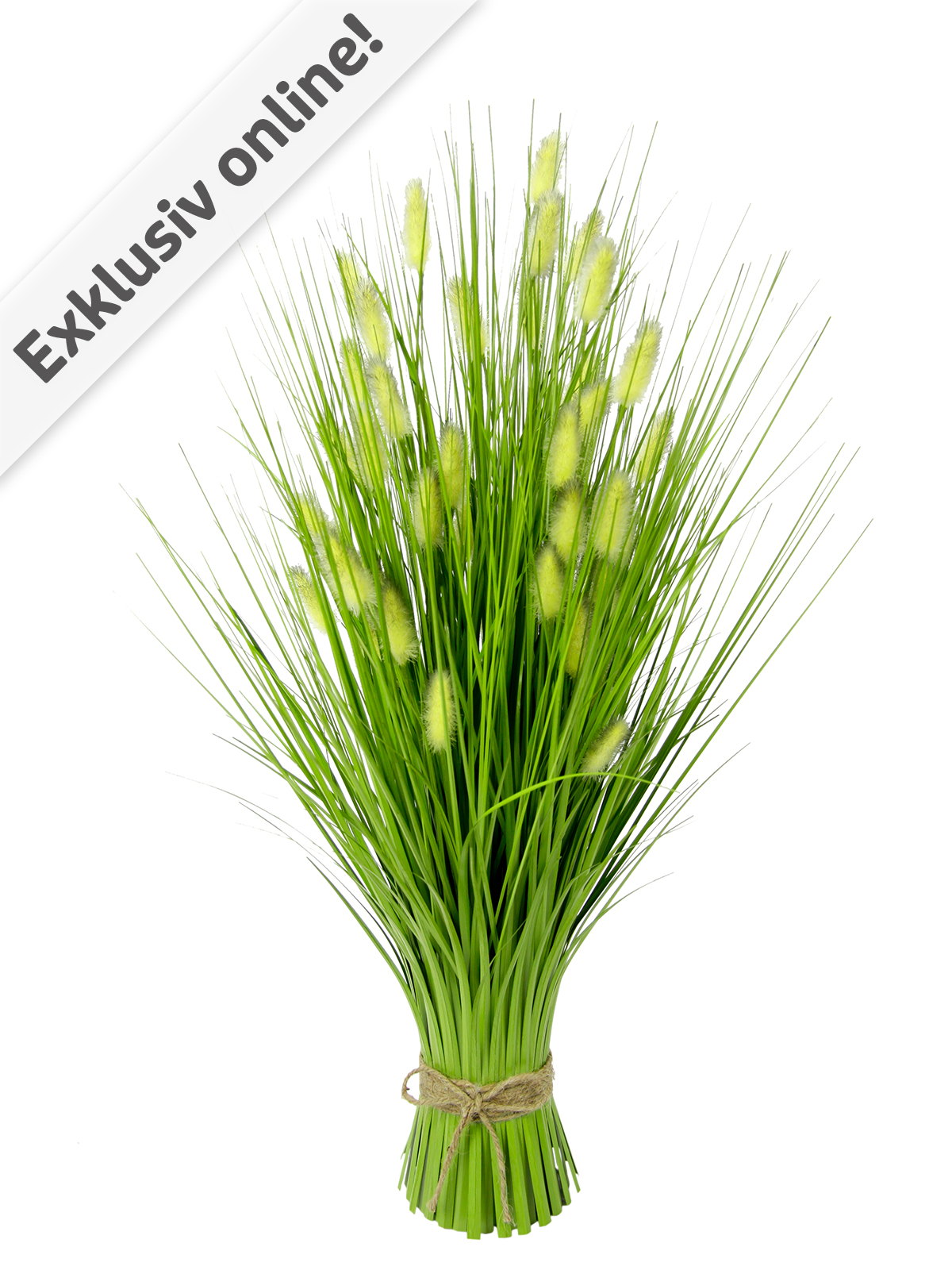 Fuchsschwanzgras-Bund