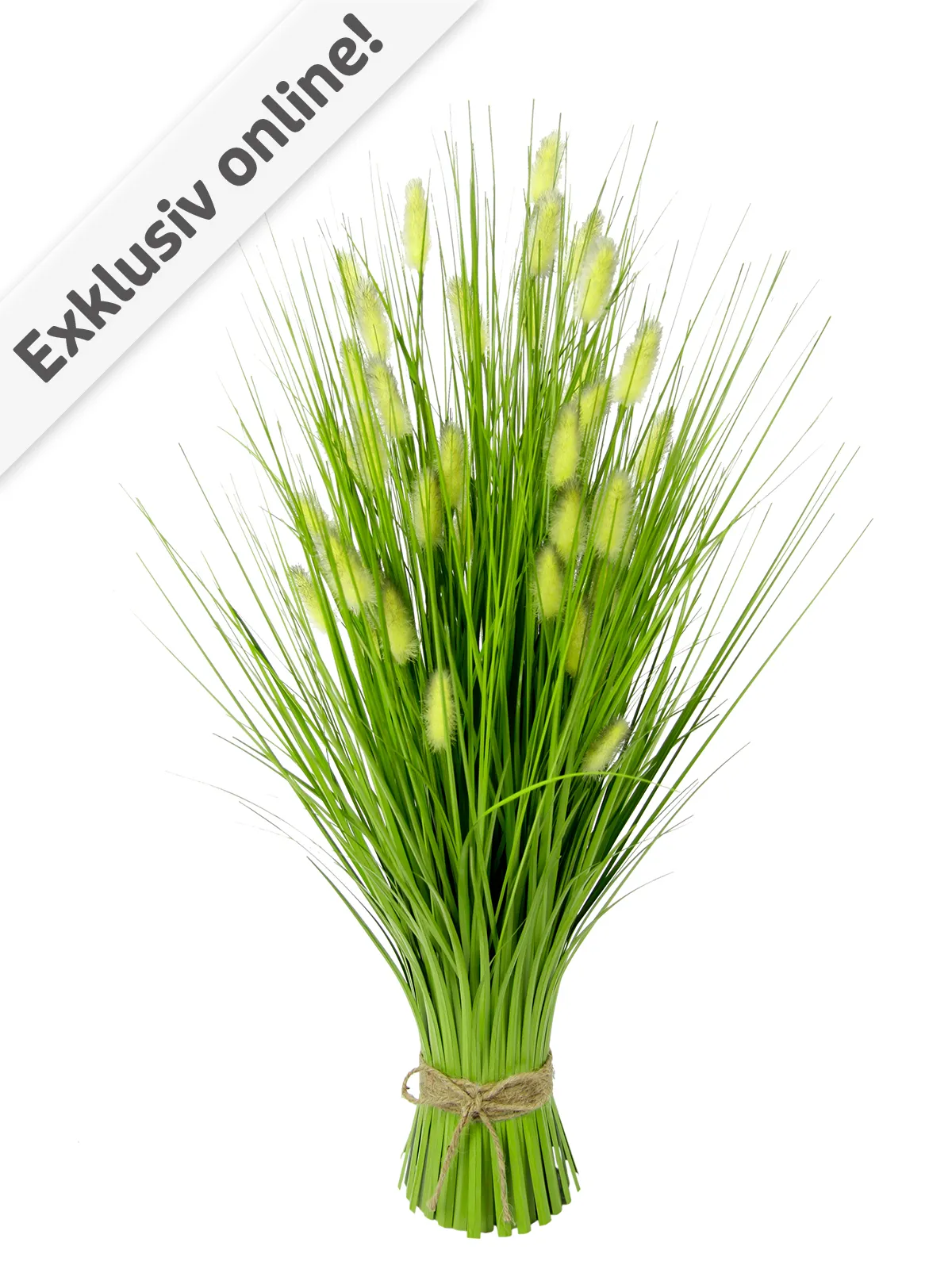 Fuchsschwanzgras-Bund