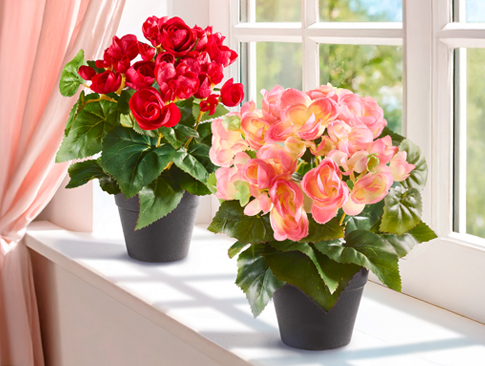 Kunstblumen im Topf auf sonniger Fensterbank