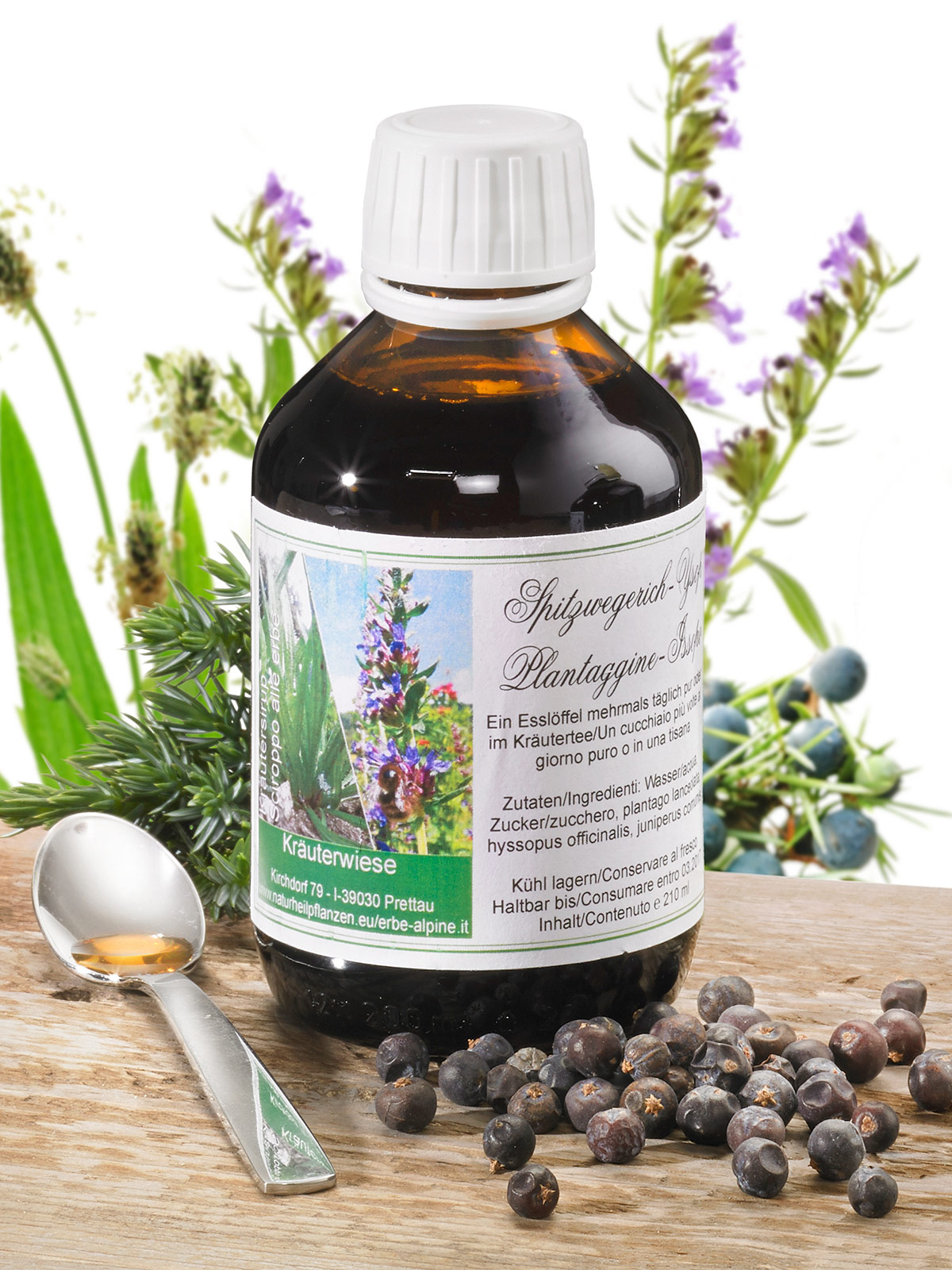 Spitzwegerich-Ysop, Bio