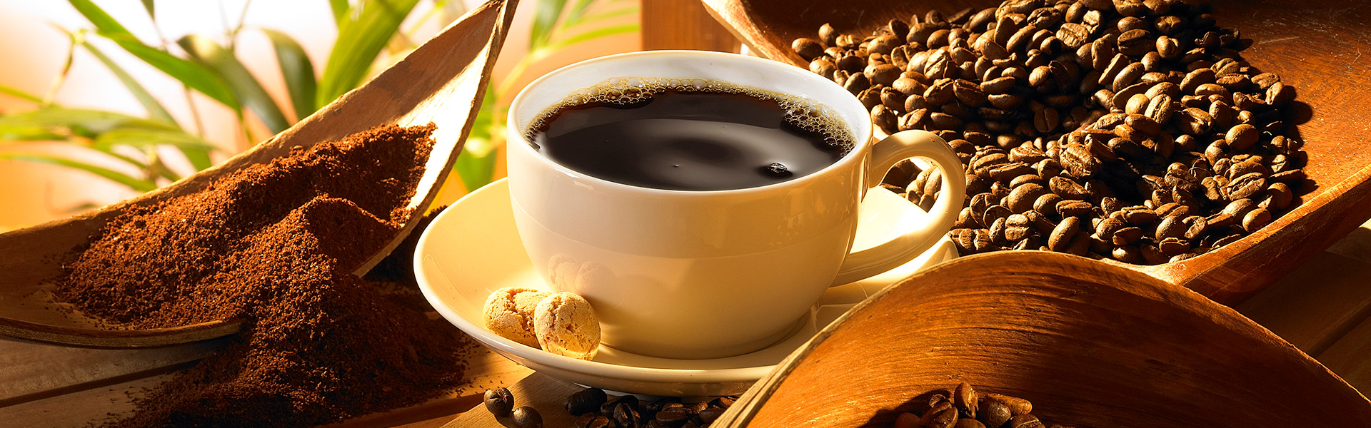 Kaffeetasse