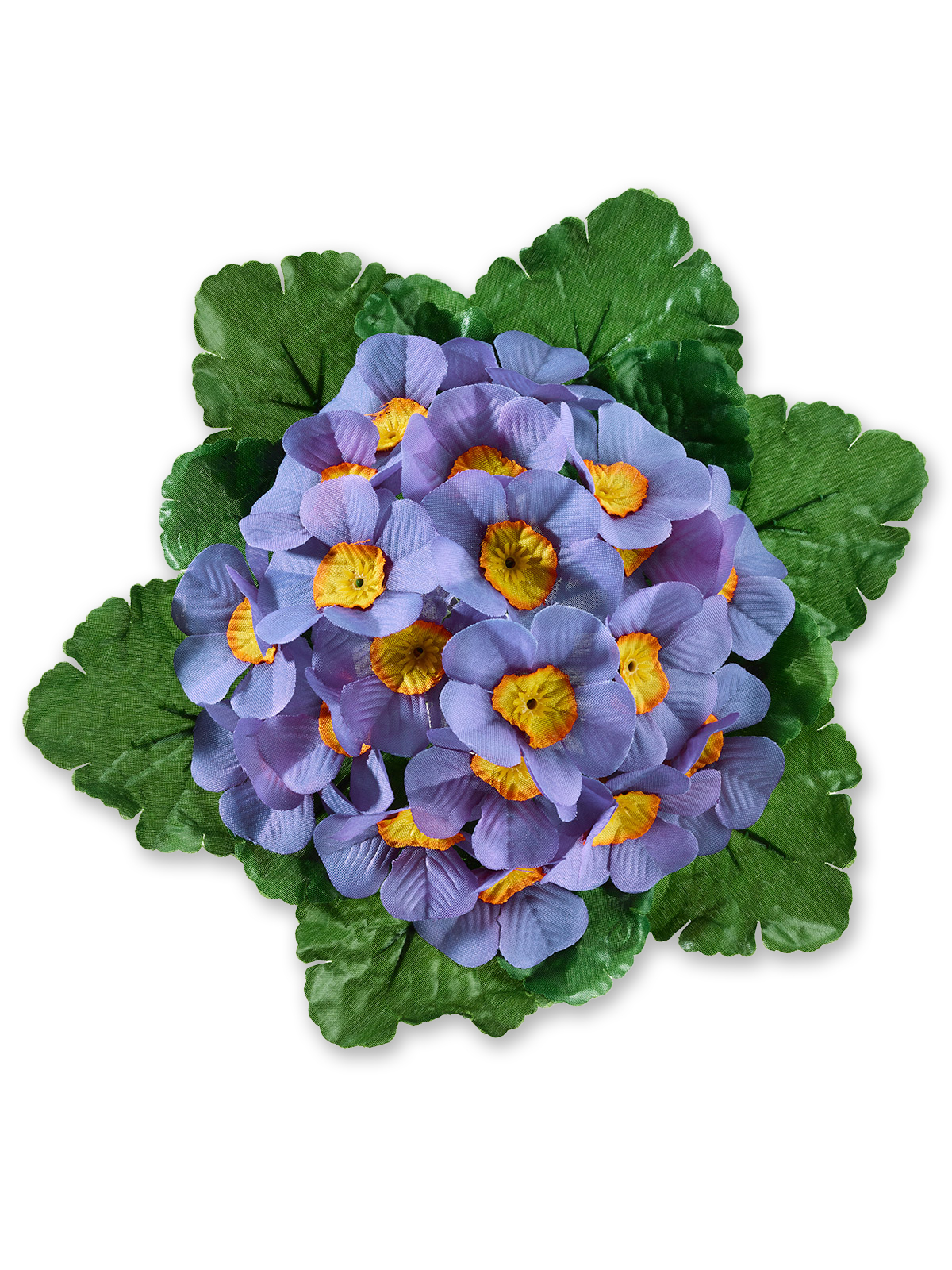 Primel-Pick, flieder Primel-Pick, flieder