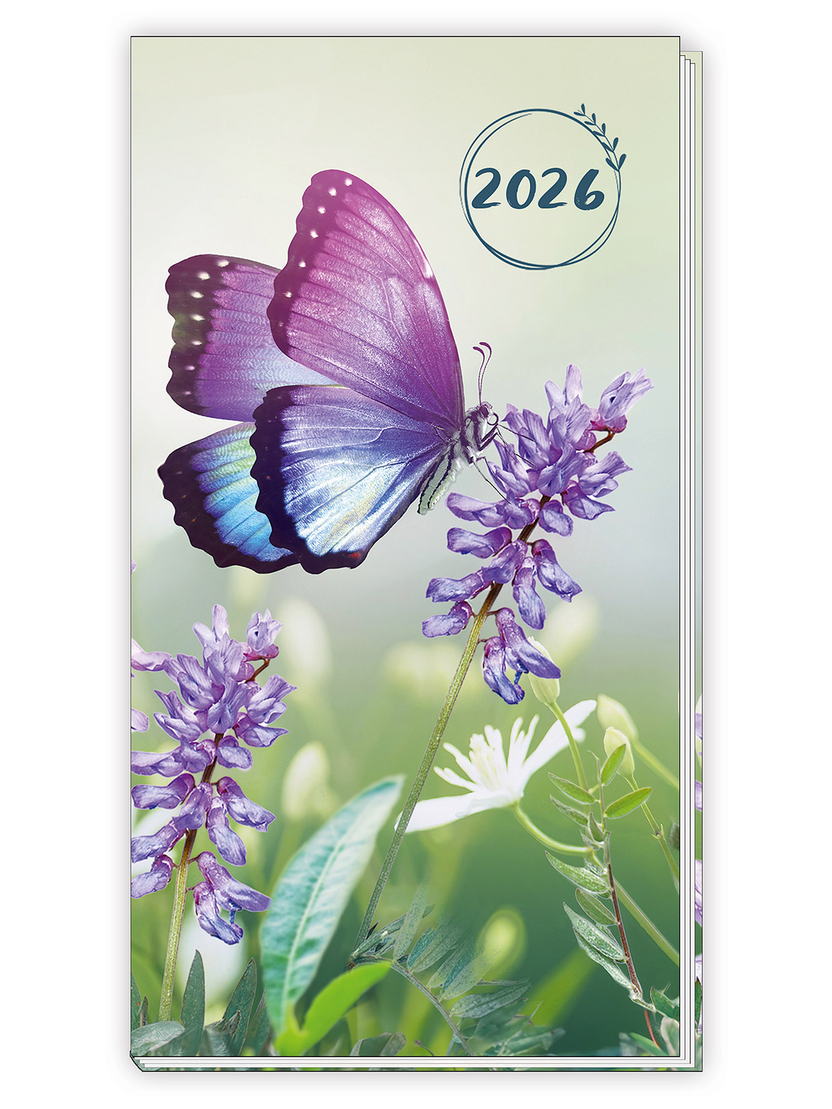 Taschenkalender 2026