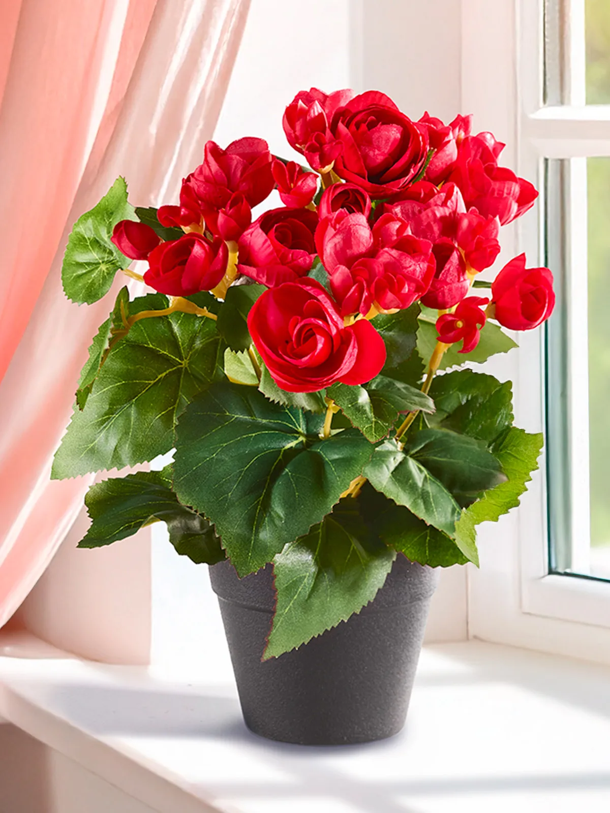 blumenkasten aluminium pulverbeschichtet Quadratische Aluminium-Blumenkästen | 100% Verschweißt main image 1