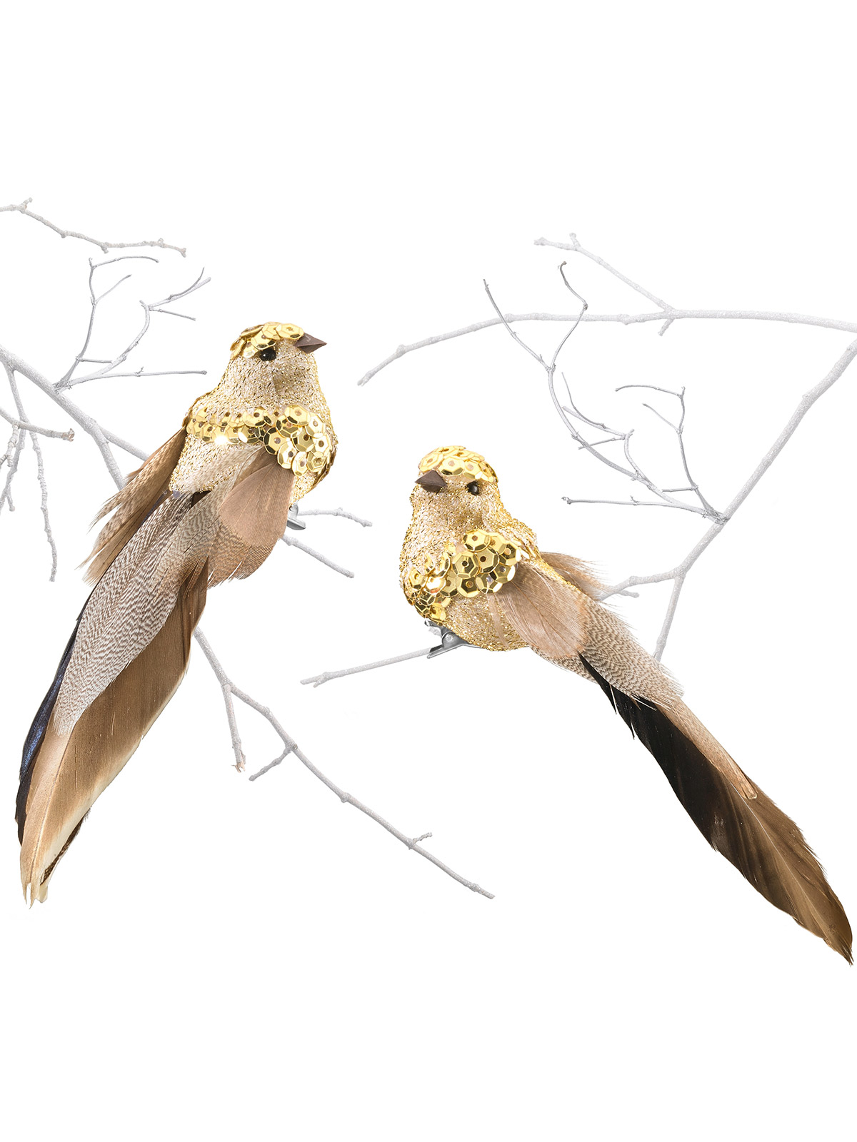 Goldvogel-Duo