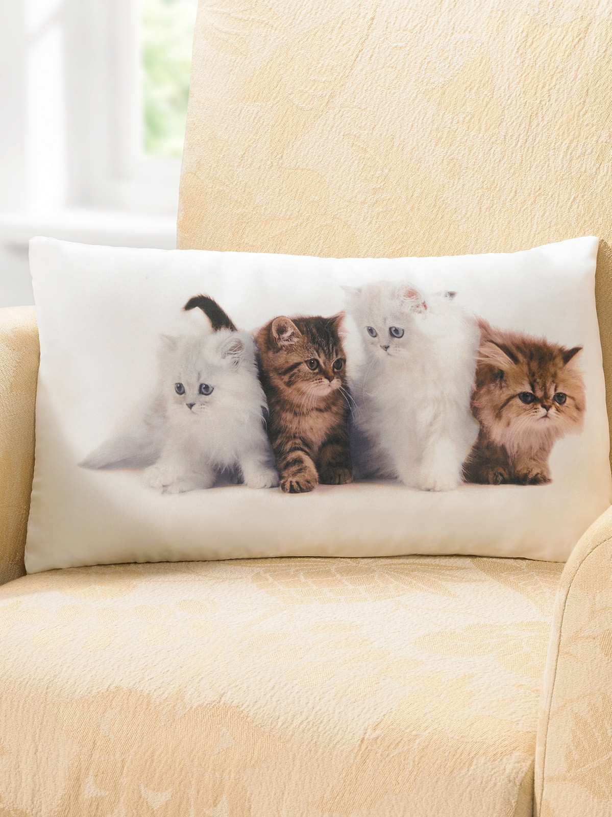 Kissen "Katzenparade"