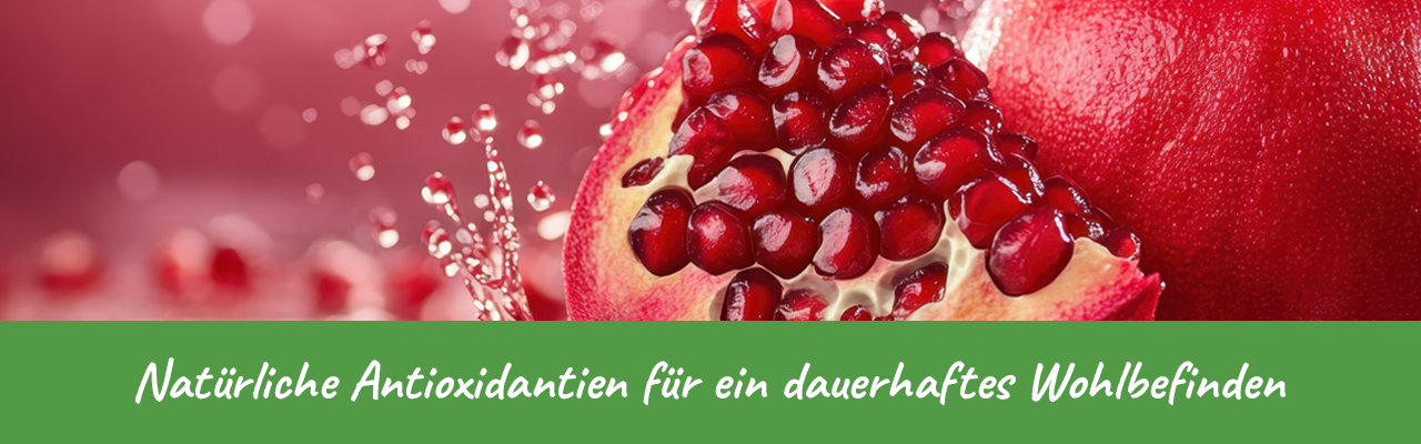 Natürliche Antioxidantien – Granatapfel für Ihr Wohlbefinden! Aufgeschnittener Granatapfel mit leuchtend roten Kernen und Wassertropfen.