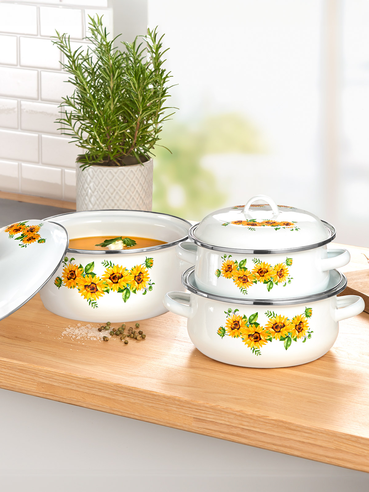 Topf-Set „Sonnenblume“