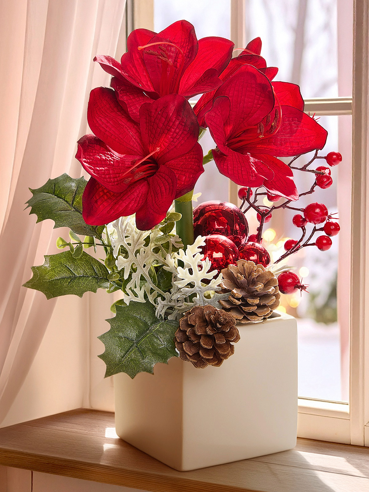 Amaryllis im Topf Amaryllis im Topf