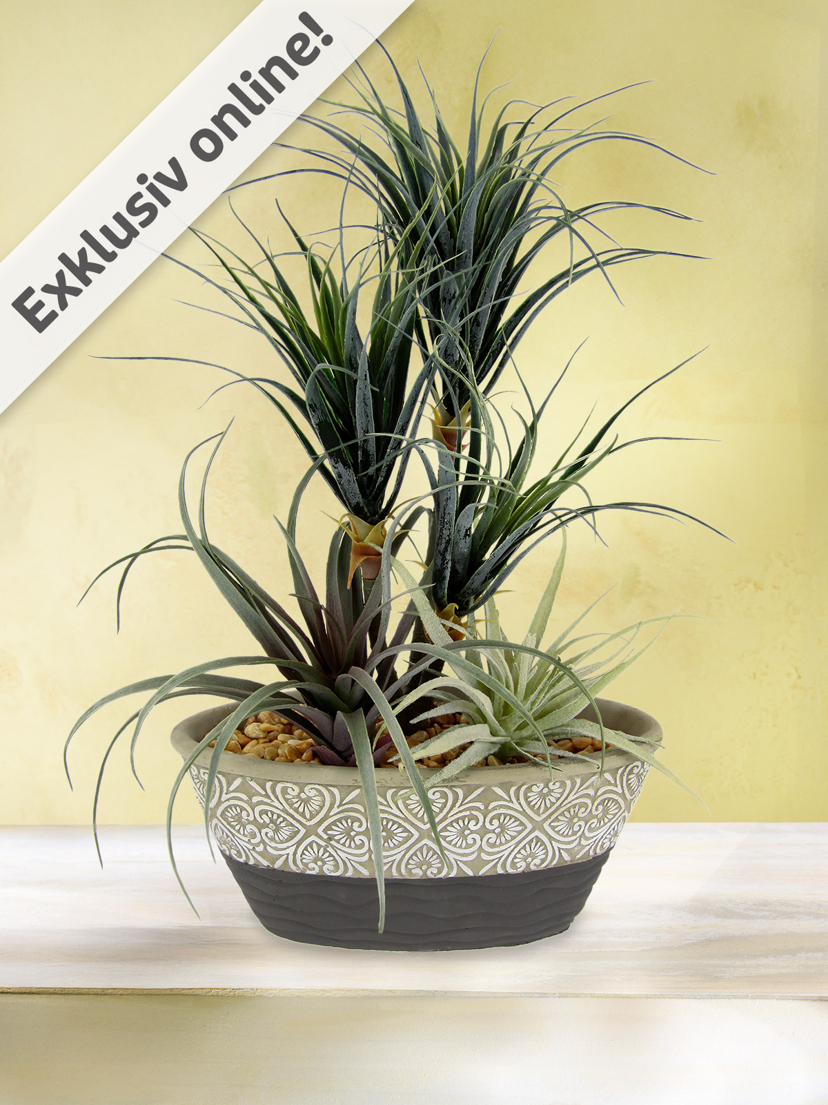 Keramikschale „Dracena & Tillandsia“ Keramikschale „Dracena & Tillandsia“