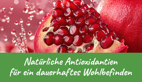 Natürliche Antioxidantien – Granatapfel für Ihr Wohlbefinden! Aufgeschnittener Granatapfel mit leuchtend roten Kernen und Wassertropfen.