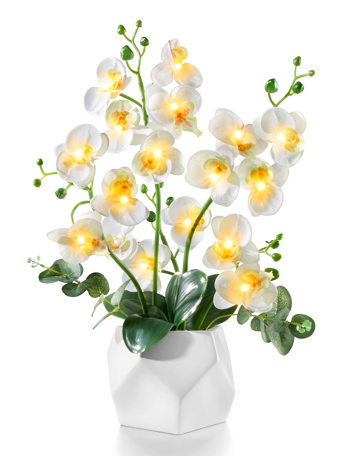 LED Orchideentraum „Weiß“