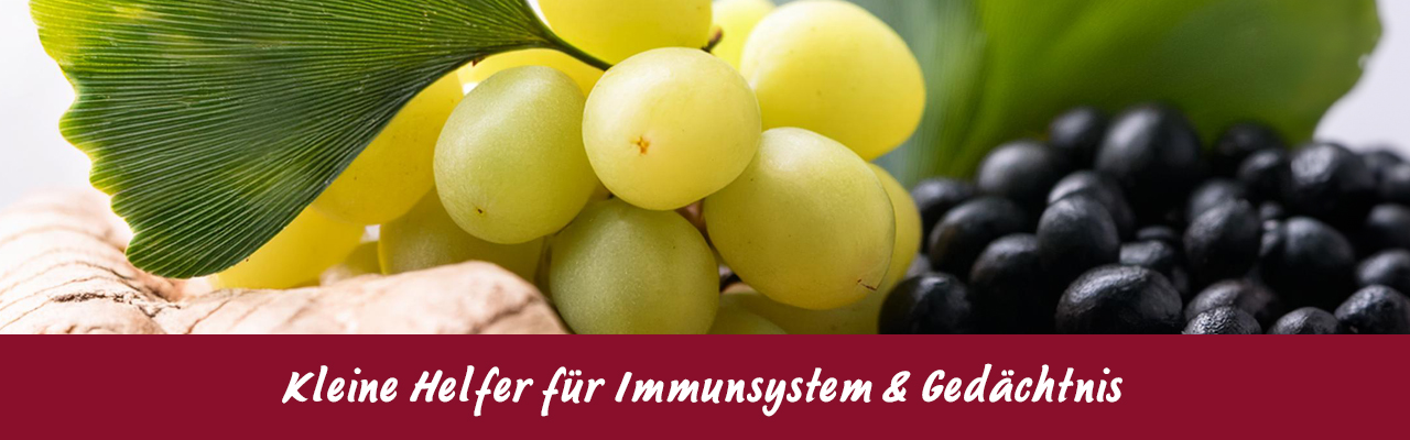 Kleine Helfer für Immunsystem & Gedächtnis – Natürliche Power! Grüne und schwarze Trauben mit Ginkgo-Blatt in Nahaufnahme.